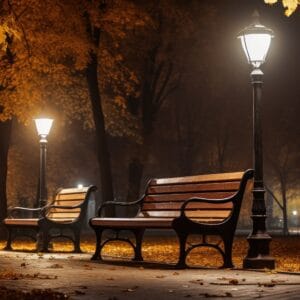 A lone bench in an autumn park, surrounded by fallen leaves.